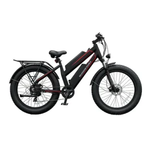 Daymak – Wild Goose Double – E-Bike