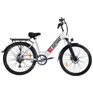 Endura Electric Bike